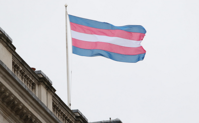 trans flag